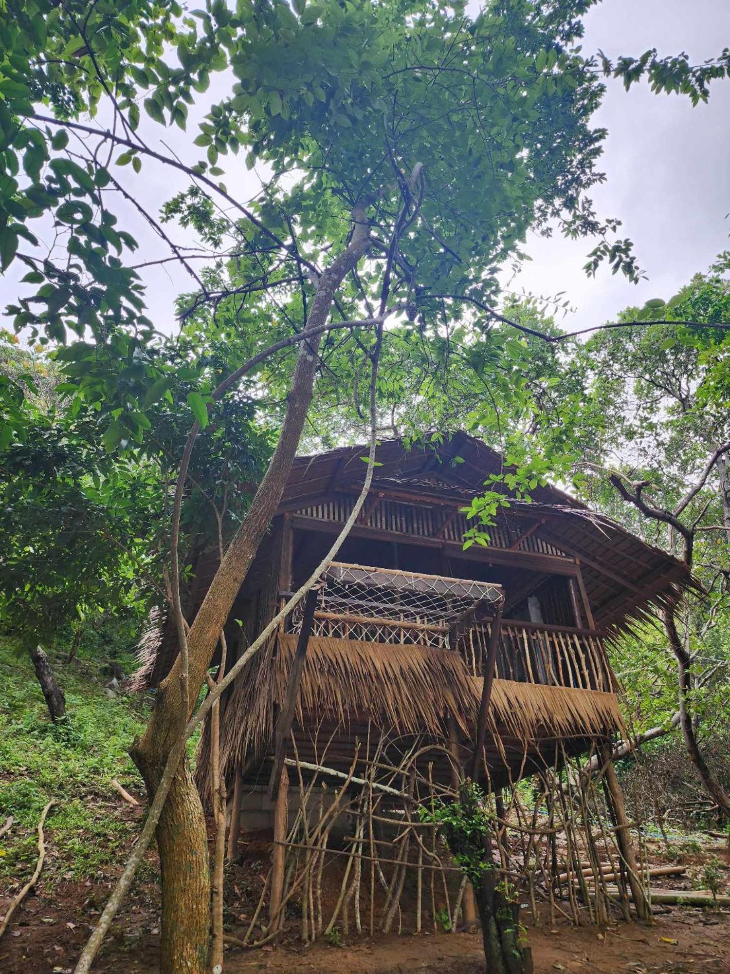 Bice Camp Darocotan Hotel El Nido Bagian luar foto